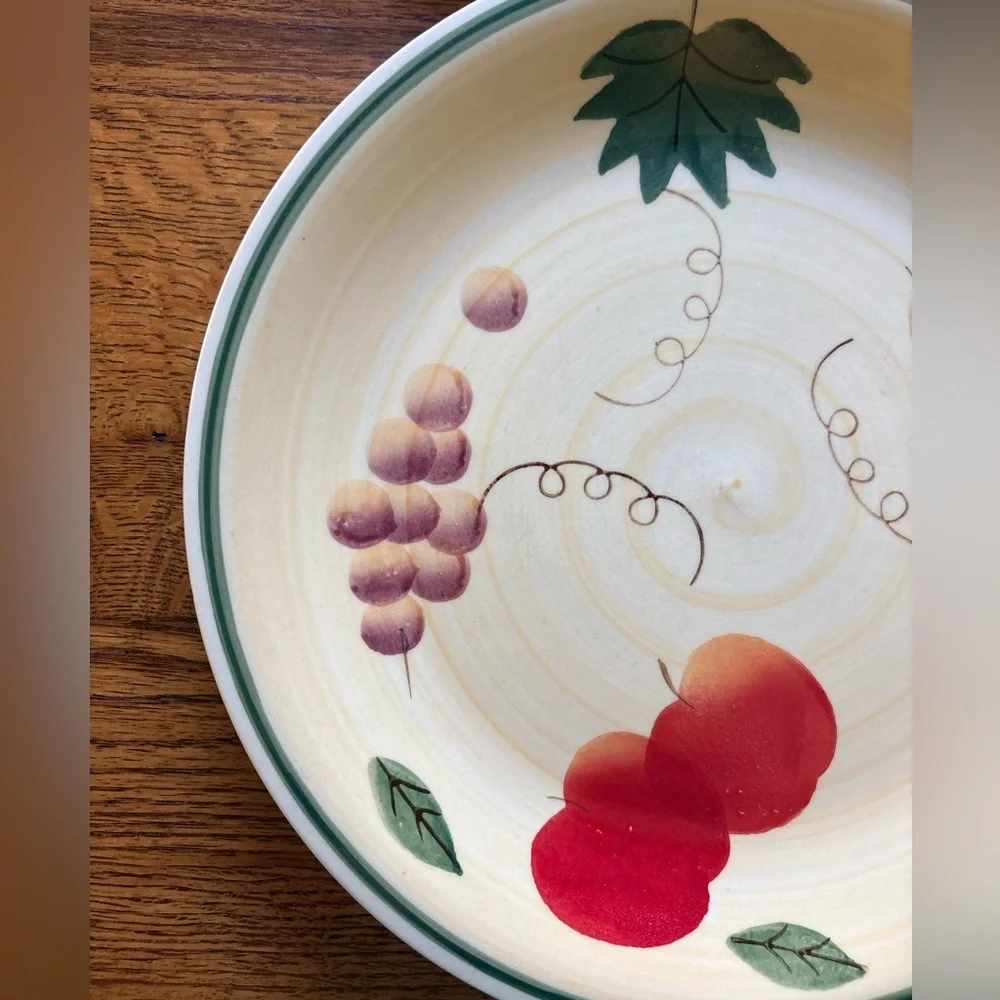 Royal Norfolk Fruit-Pattern Dinner Plates- set of 2-  Stoneware in Cream and Red